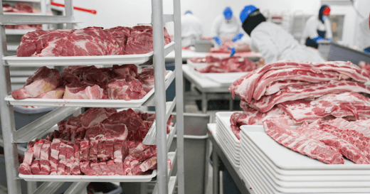 6 Reasons To Use a Meat Scale With Printer [+ Best Options]