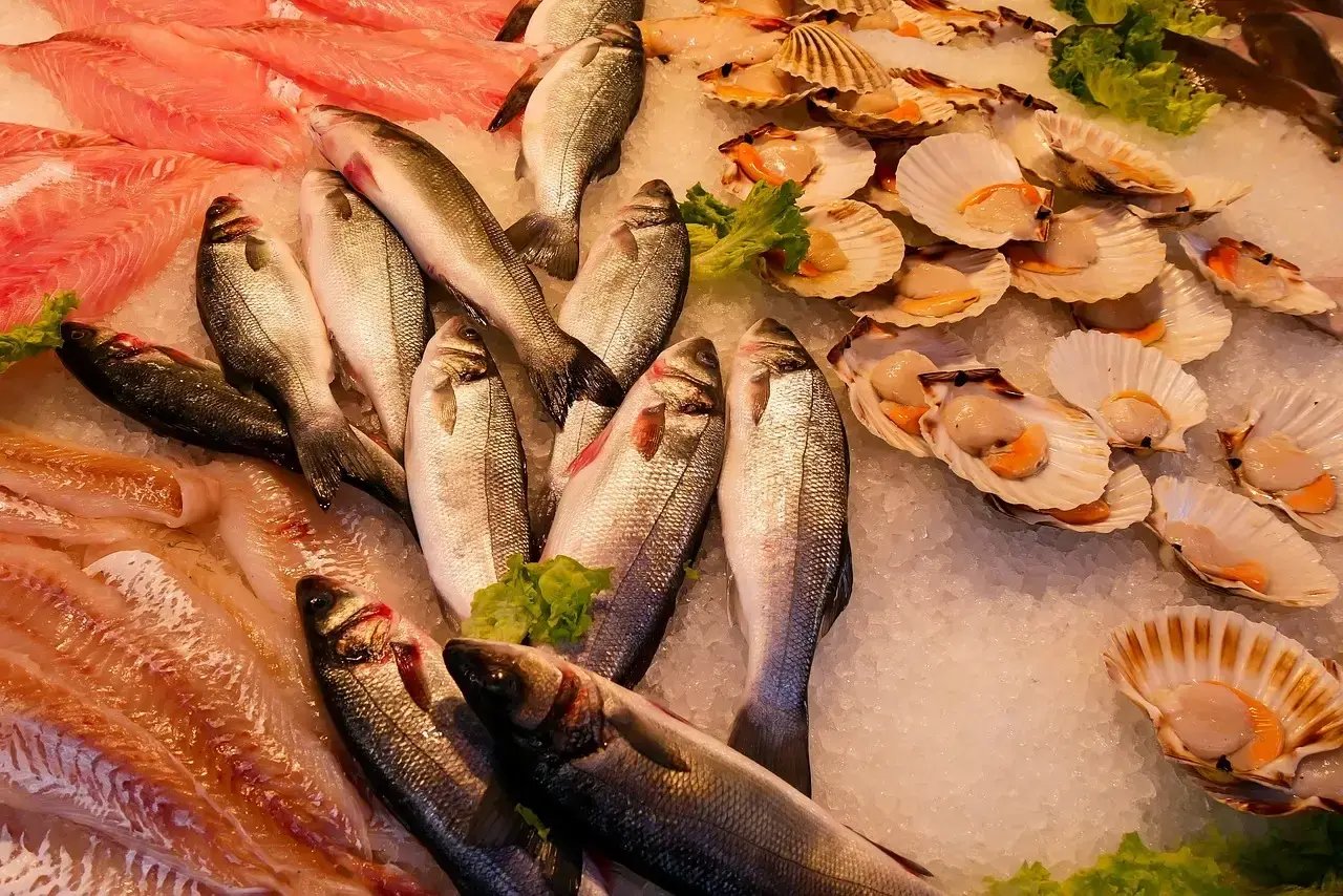 Things to know before starting a fish market Blog Image 2