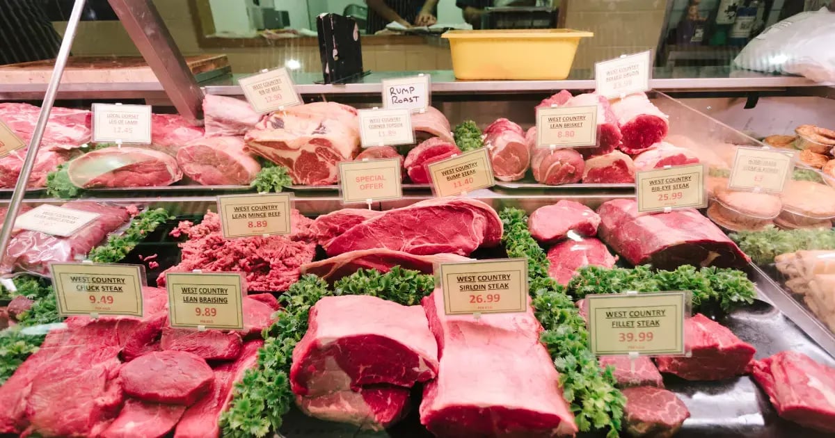 Markt Guide - Butcher Shop Display Case