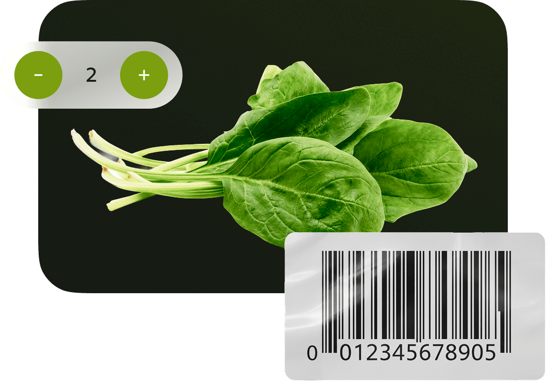 This image is missing an alt tag