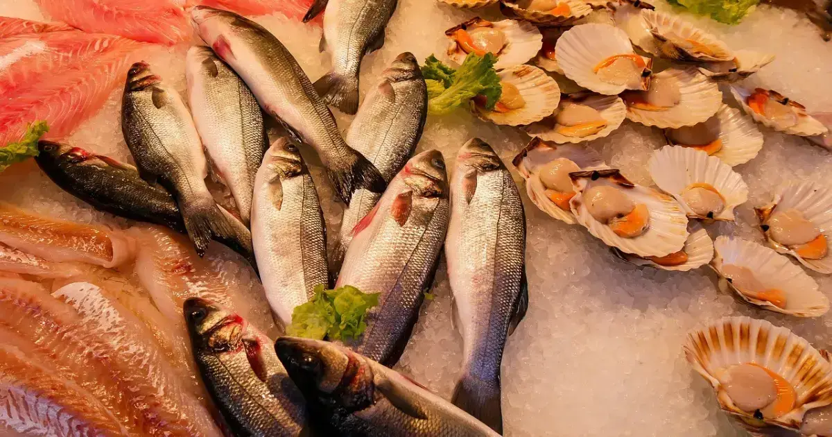 7 Things To Know Before Starting a Fish Market