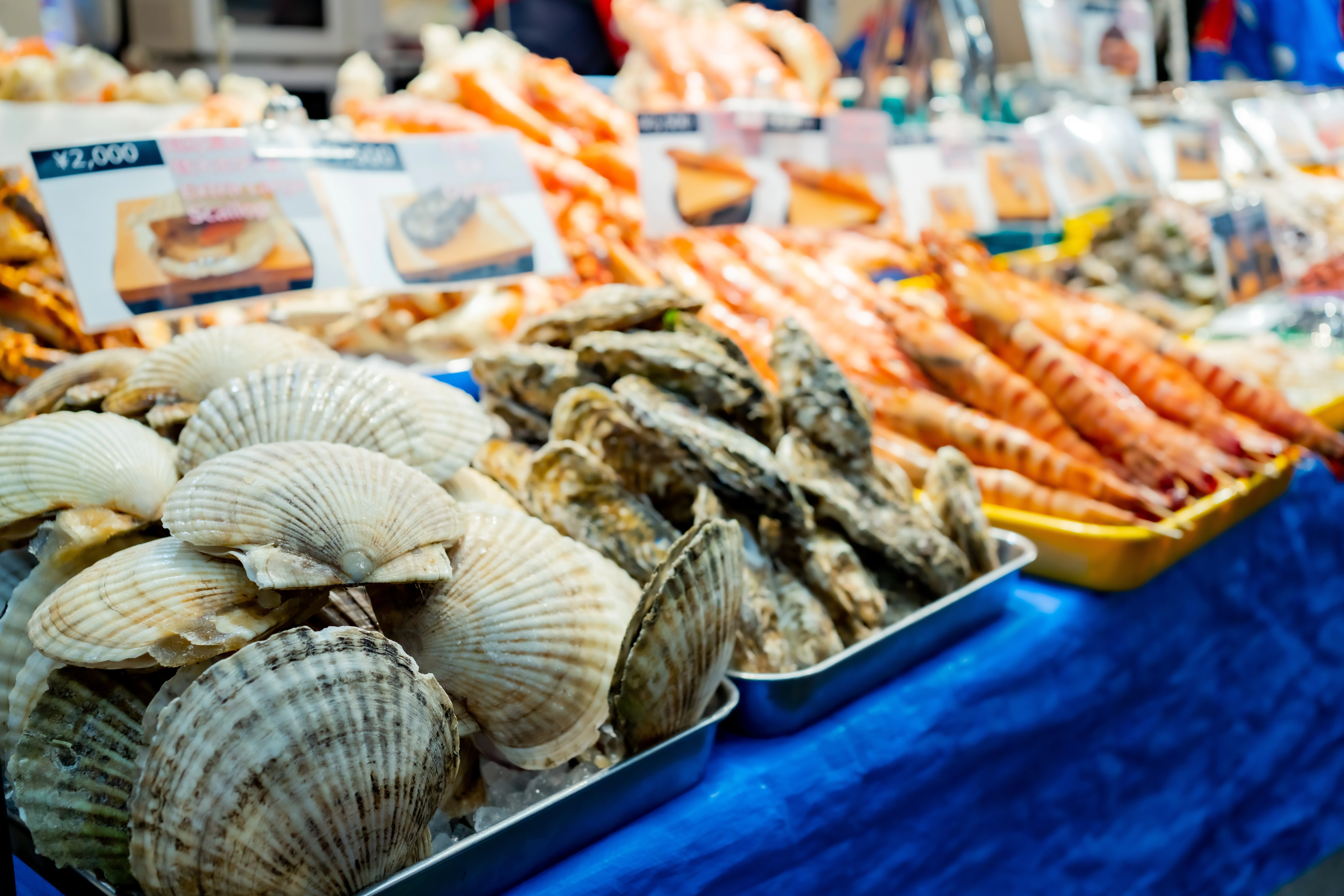 4 Seafood Market POS Software Solutions in 2025