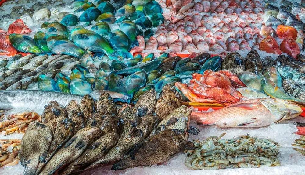 How To Market a Local Fish Market in 2026 (Digital + In-Store)